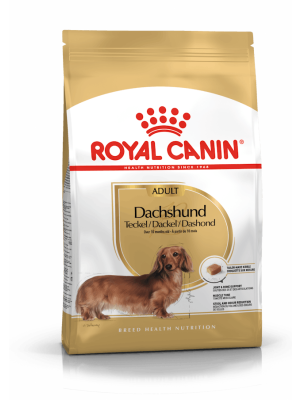 Royal Canin - Royal Canin Dachshund Adult