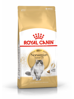 Royal Canin - Royal Canin Norweigan Forest Cat adult