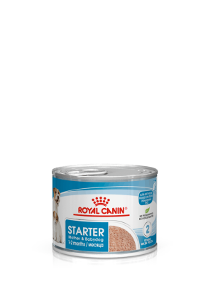 Royal Canin - Royal Canin Starter mousse
