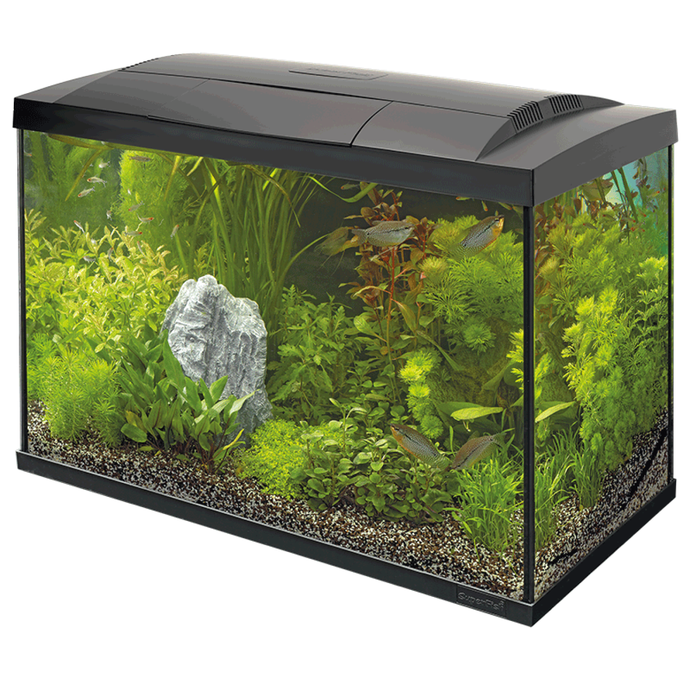 SuperFish - SuperFish Tropical Start kit