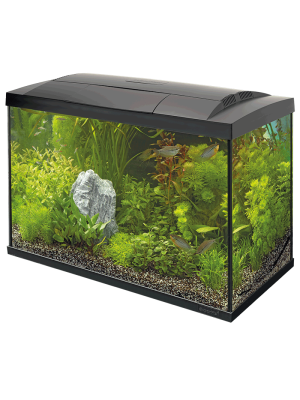 SuperFish - SuperFish Tropical Start kit