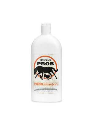 Equidan - Ekholm Prob Shampoo