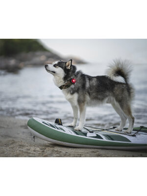 Orbiloc - Orbiloc Dog Dual Red