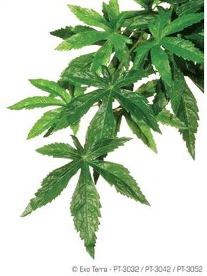 ExoTerra - ExoTerra Silkeplante Abutilon Large