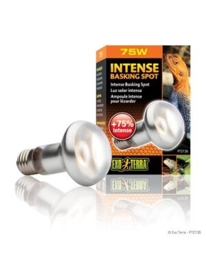 ExoTerra - Exo Terra Intens braking spot 75 w.