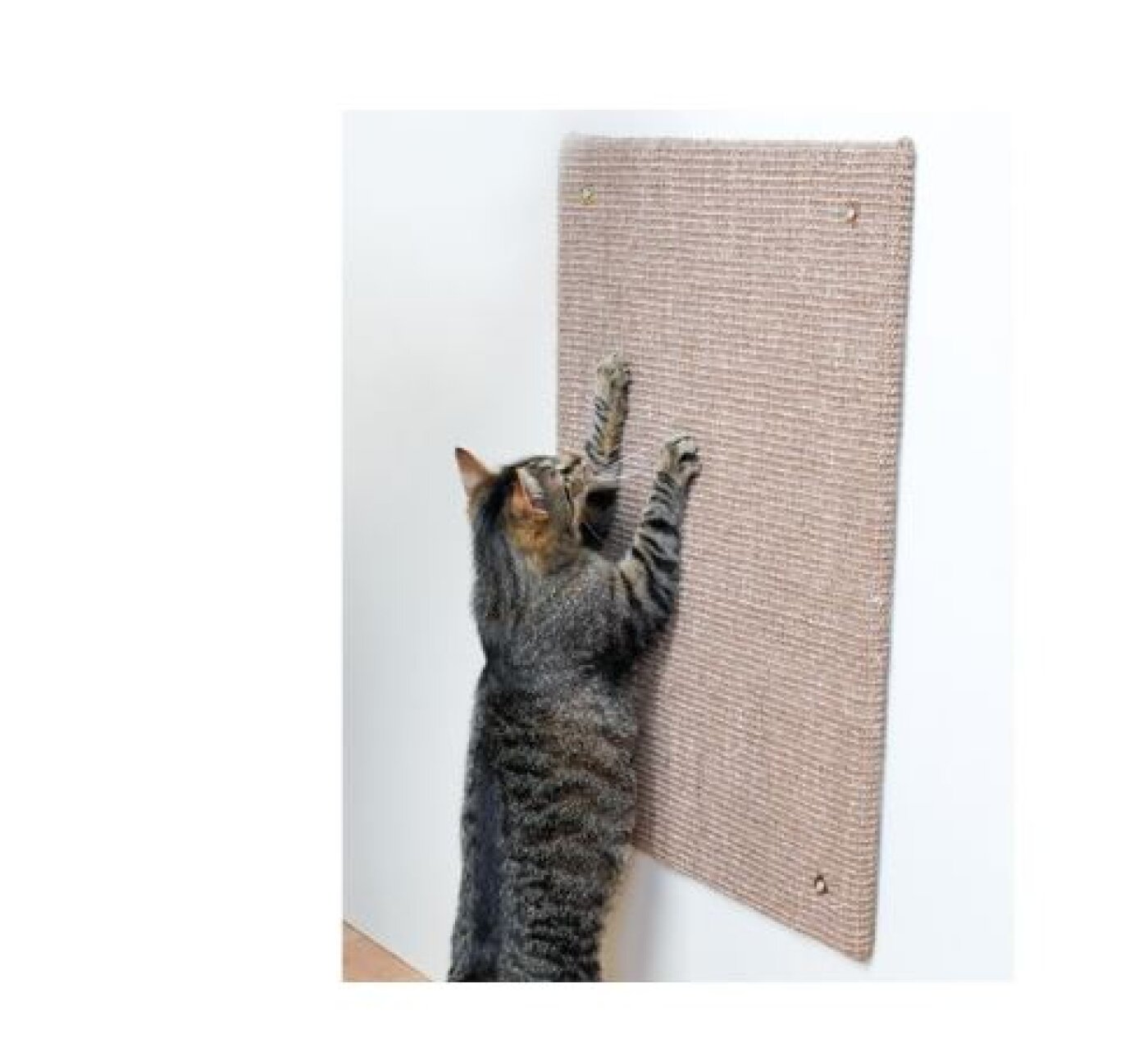 Trixie-kat - TRIXIE Kradseplade Sisal/Fleece