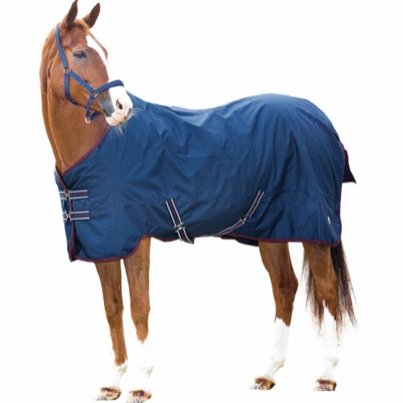 Horse Guard - HG Regndækken Turnout rug 0 g. 600D 