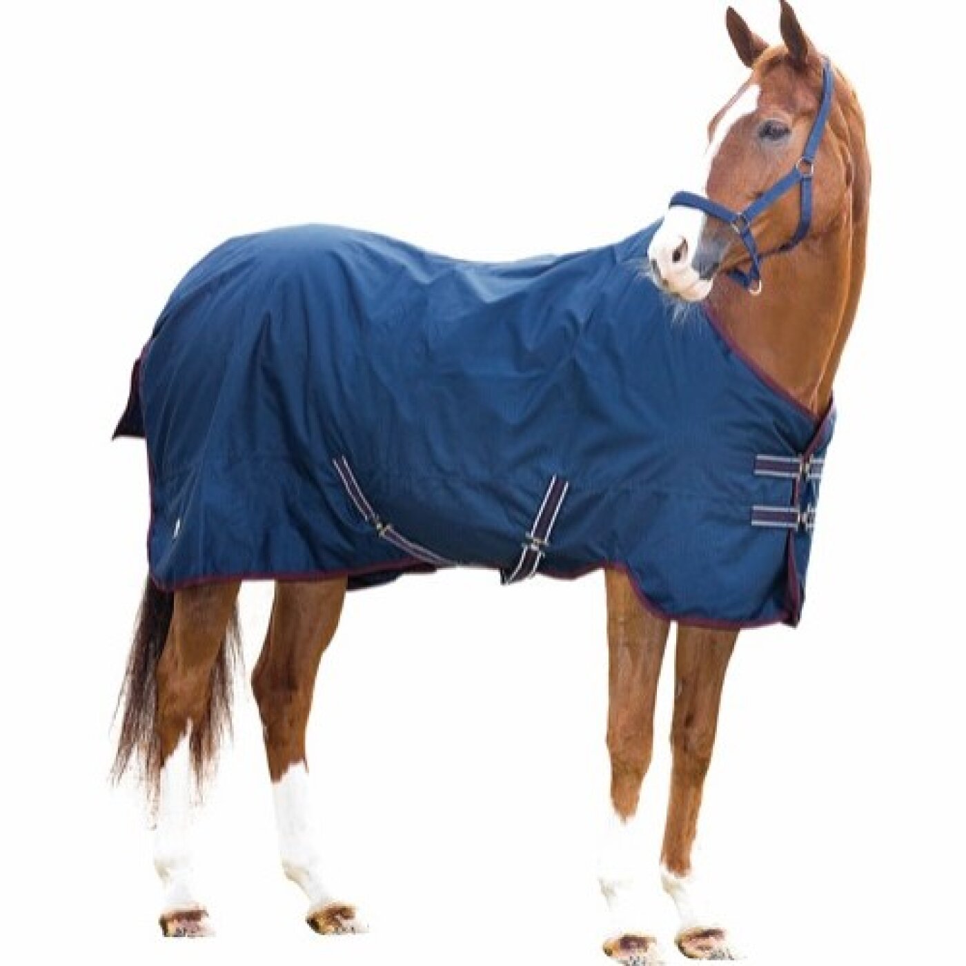 Eldorado - HG Overgangsdækken Turnout rug 200 g. 600D 