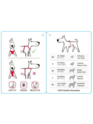 Q-Pet - Red Dingo Polstret sele Grå