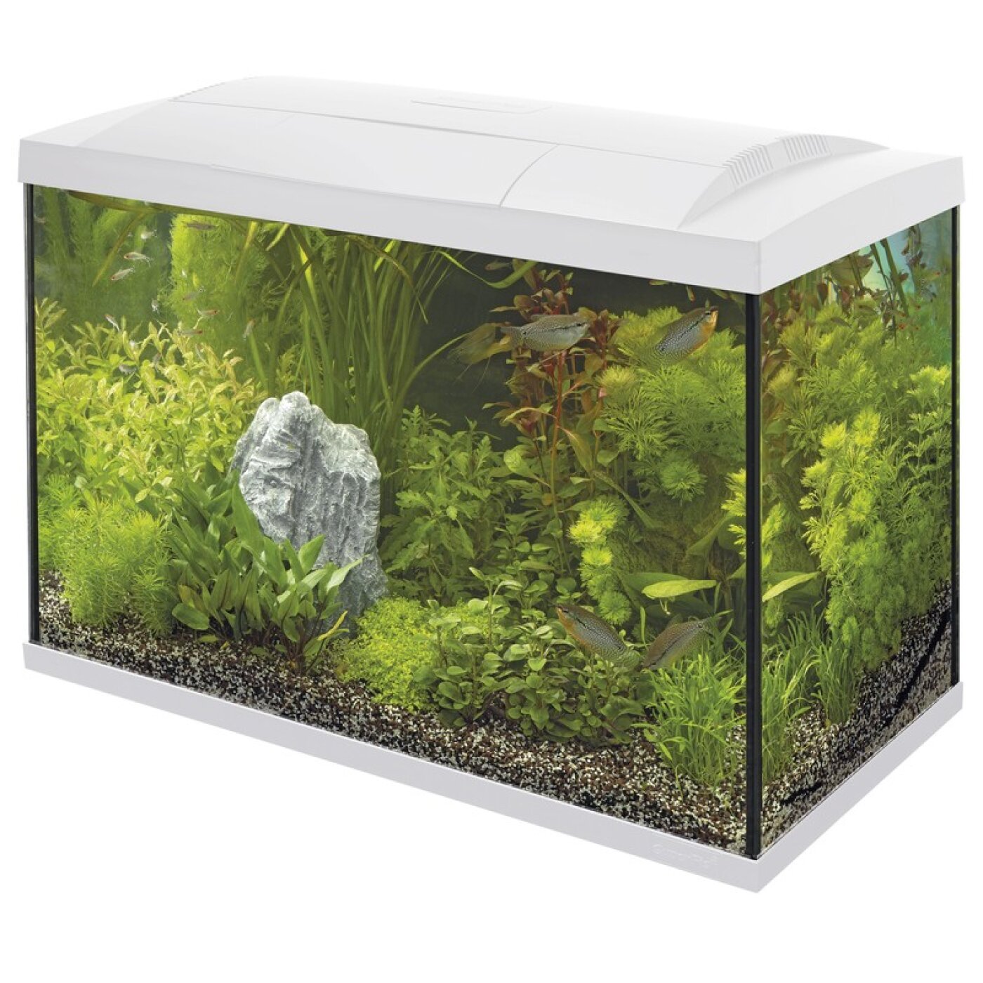 SuperFish - SuperFish Tropical Start kit