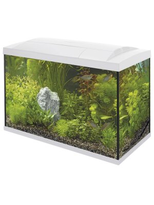 SuperFish - SuperFish Tropical Start kit