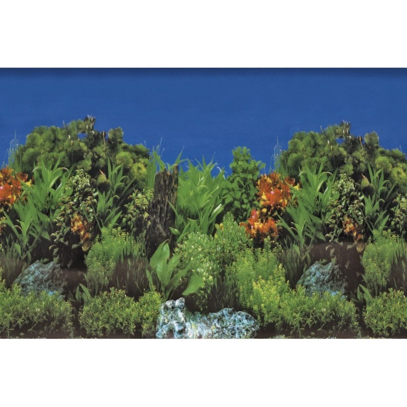 SuperFish - SuperFish Deco Poster B