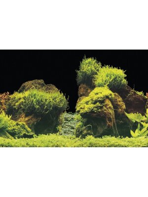 SuperFish - SuperFish Deco Poster E