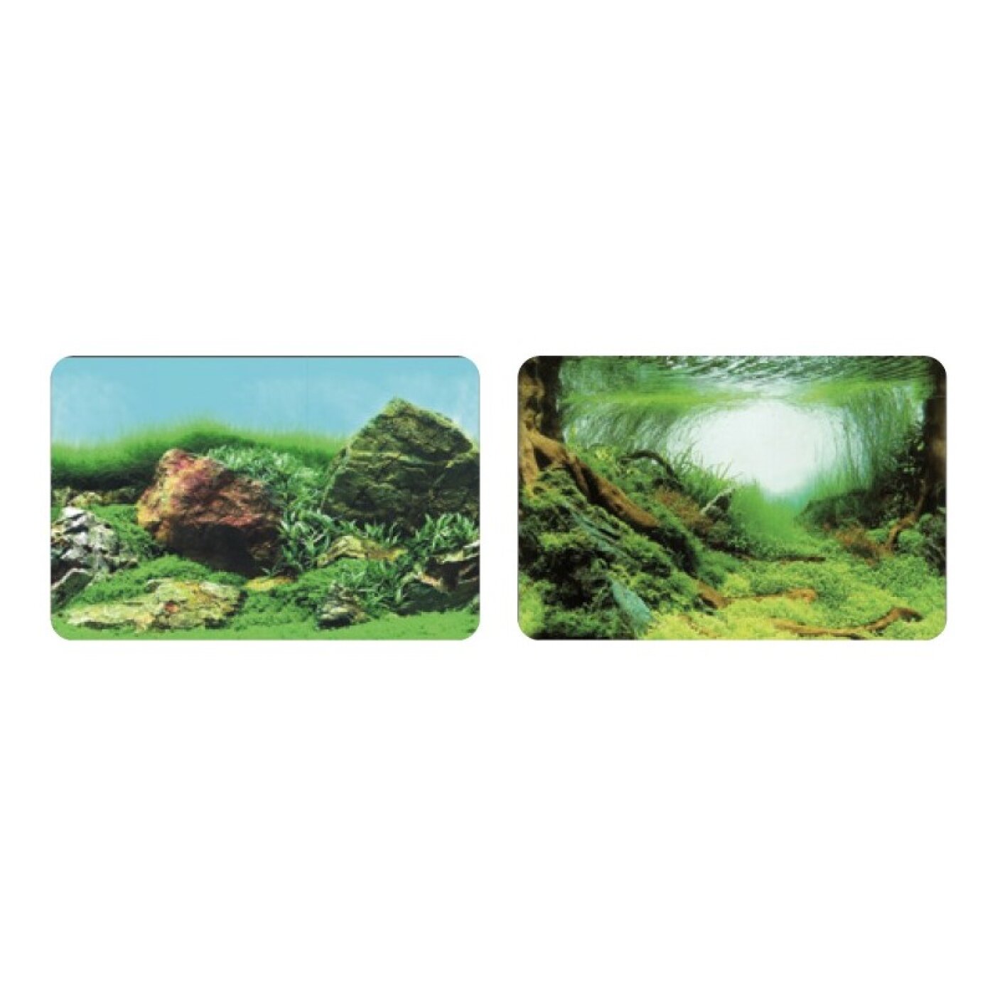 SuperFish - SuperFish Deco Poster C