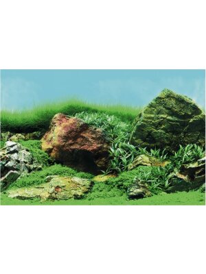 SuperFish - SuperFish Deco Poster C