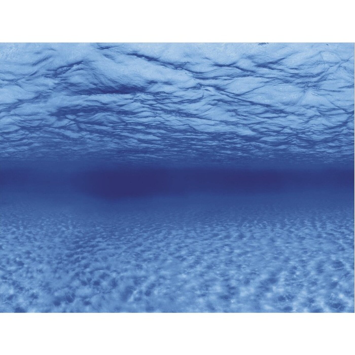 SuperFish - SuperFish Deco Poster F