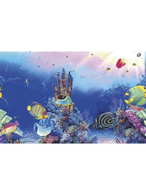SuperFish - SuperFish Deco Poster F
