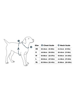 DogCopenhagen - Dog Copenhagen Urban Explorer Black