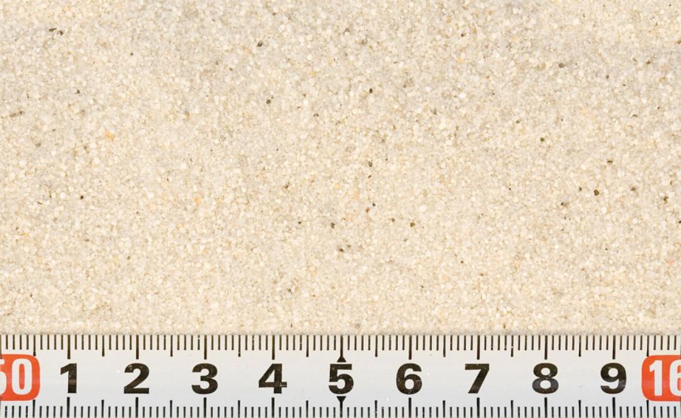 4FISH - Cichlidesand