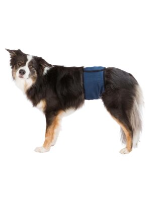 Trixie - hund - Trixie Hanhunde bind