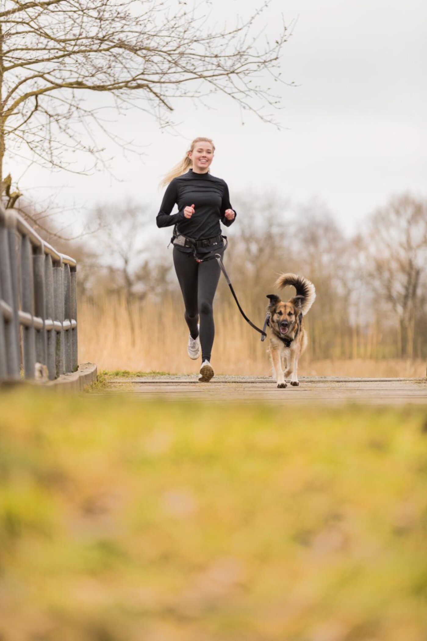 Trixie - hund - Trixie Jogging bælte+line