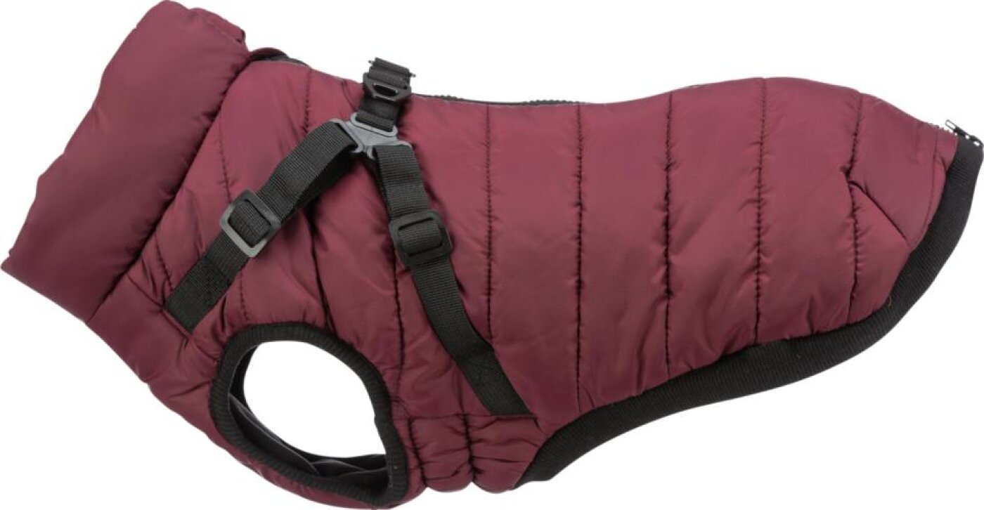 Trixie - hund - Trixie Pirou vinterjakke med sele
