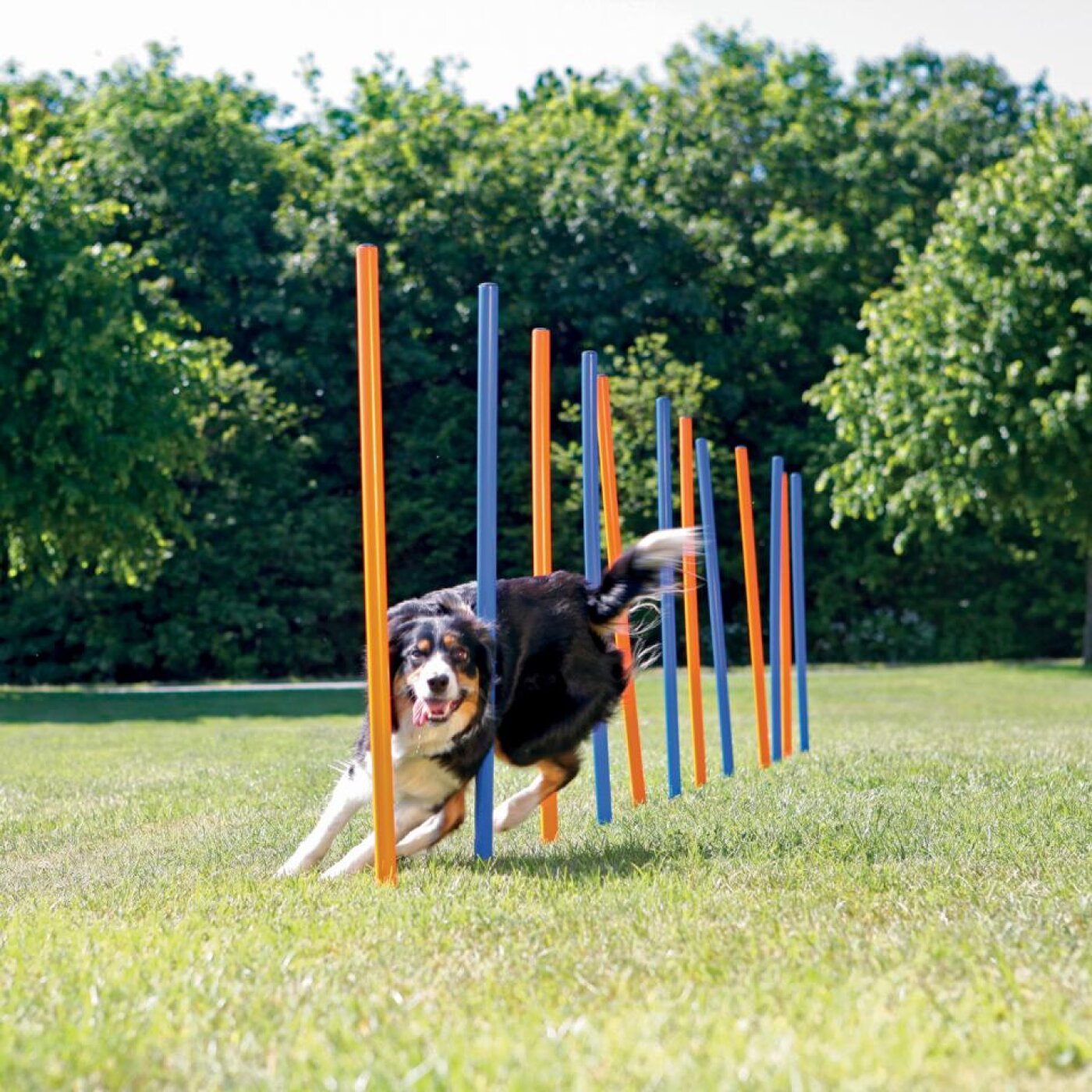 Eldorado - Trixie Agility Slalom 