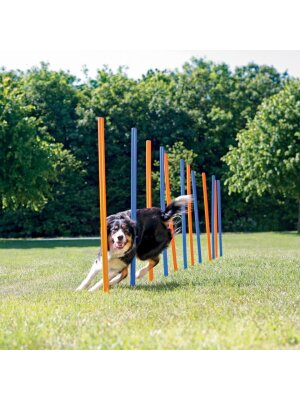 Eldorado - Trixie Agility Slalom Eldorado - Trixie Agility Slalom