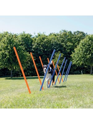 Eldorado - Trixie Agility Slalom 