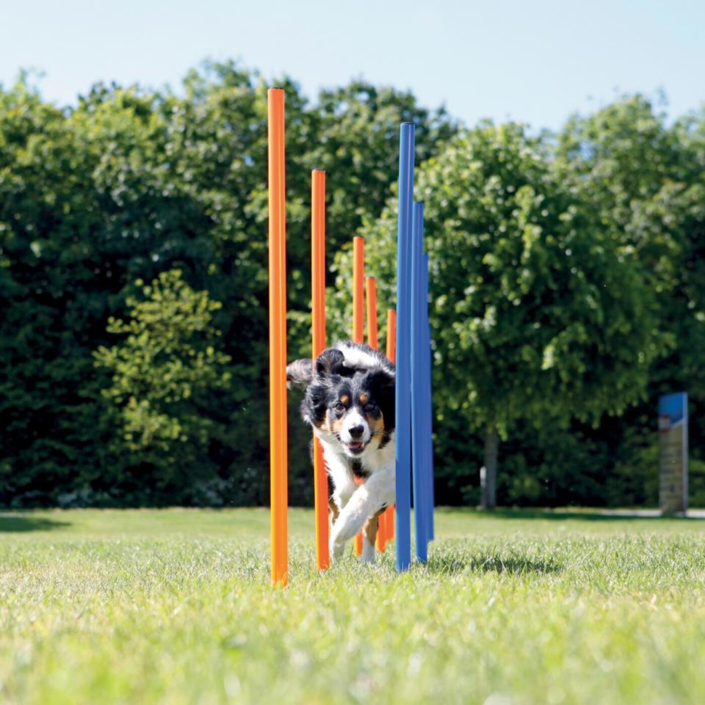 Eldorado - Trixie Agility Slalom 
