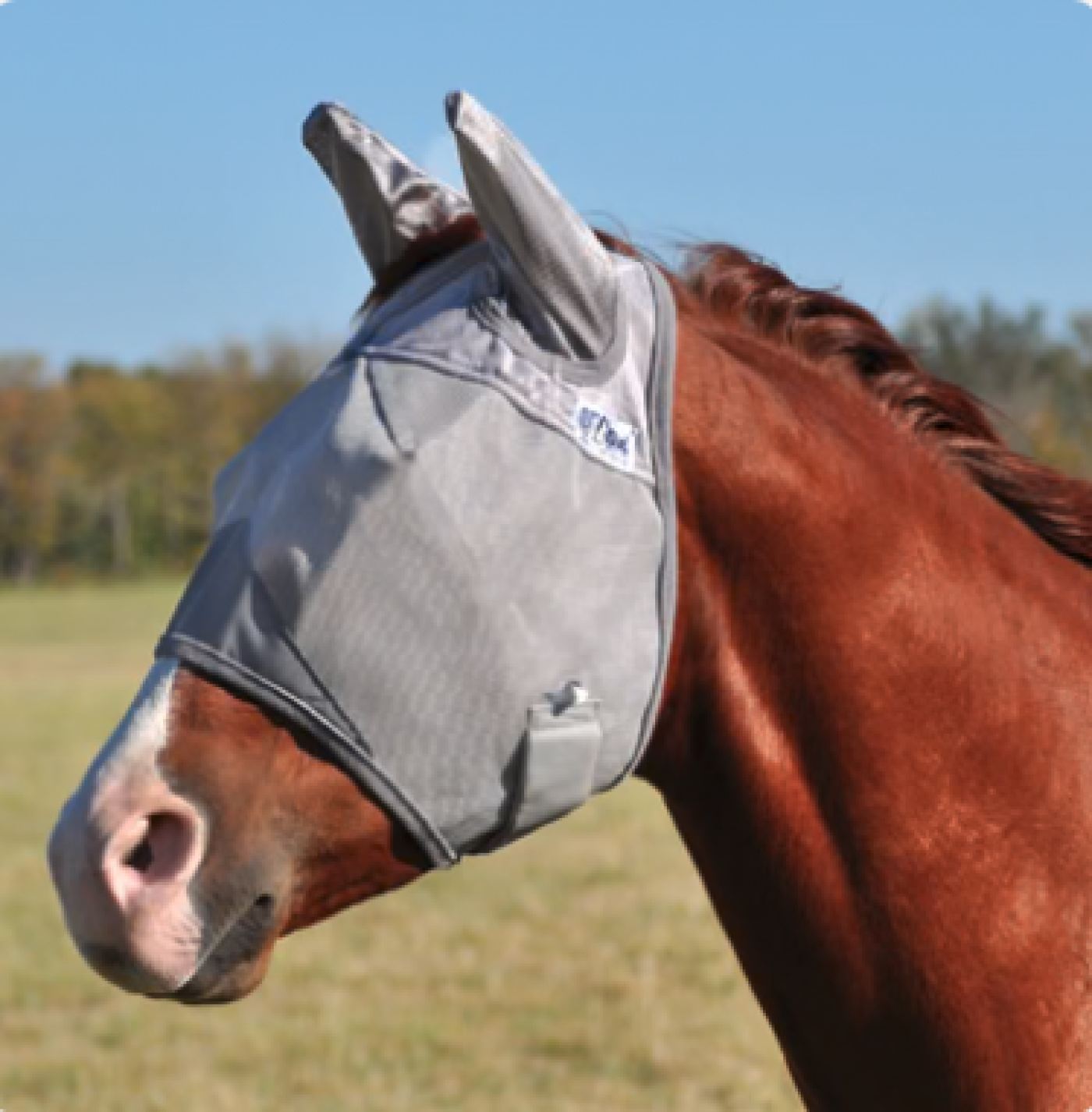 Cashel Company - Cashel Crusader fly maske standard med øre 