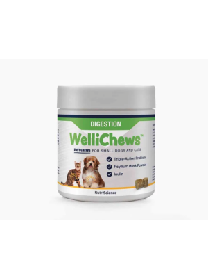 WelliChews - Wellichew's Digestion hund/kat small