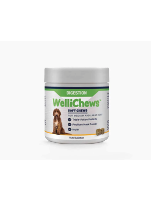 WelliChews - Wellichew's Digestion hund M-L