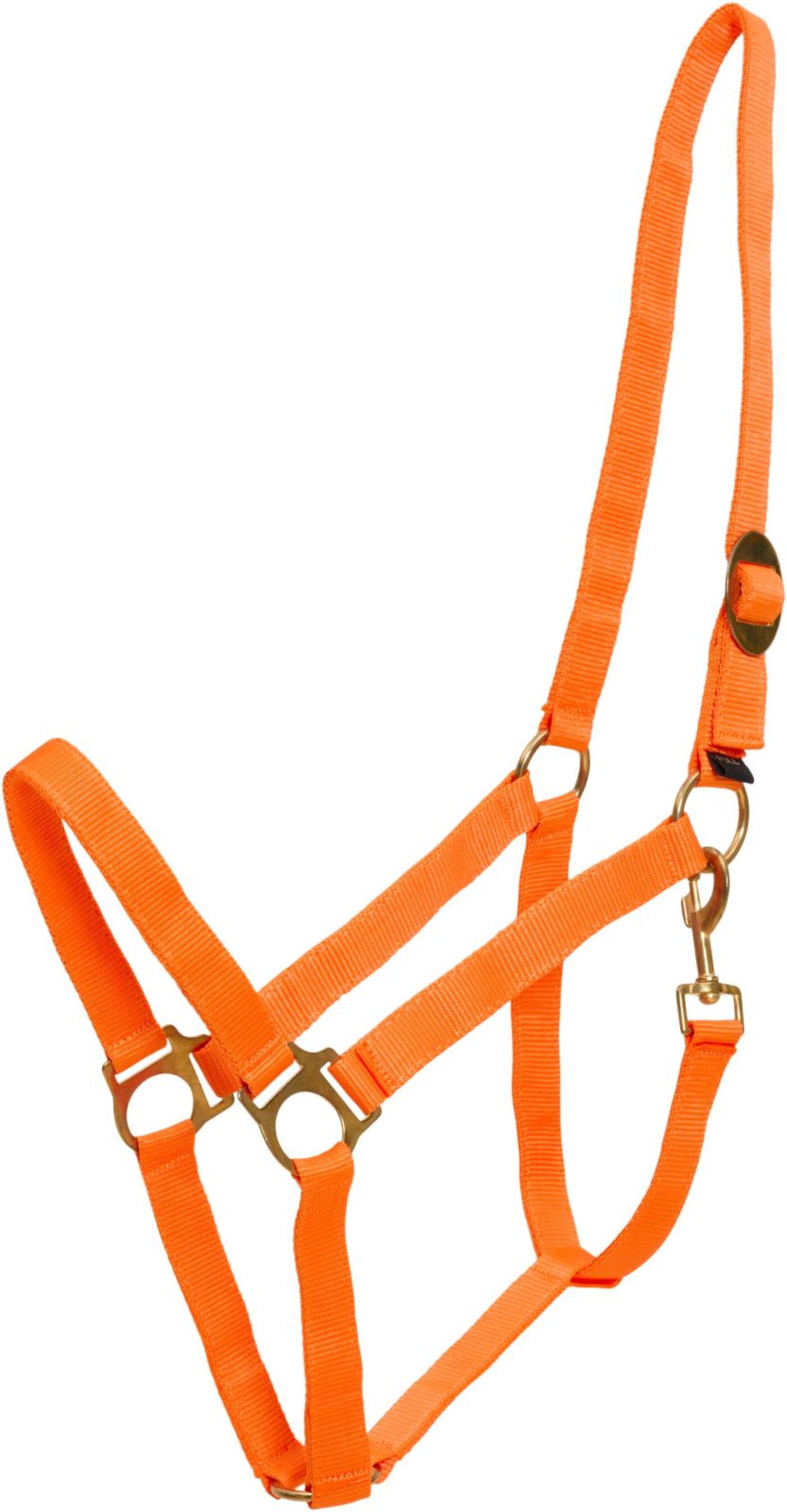 Horse Guard - HG Nylon Grime Orange