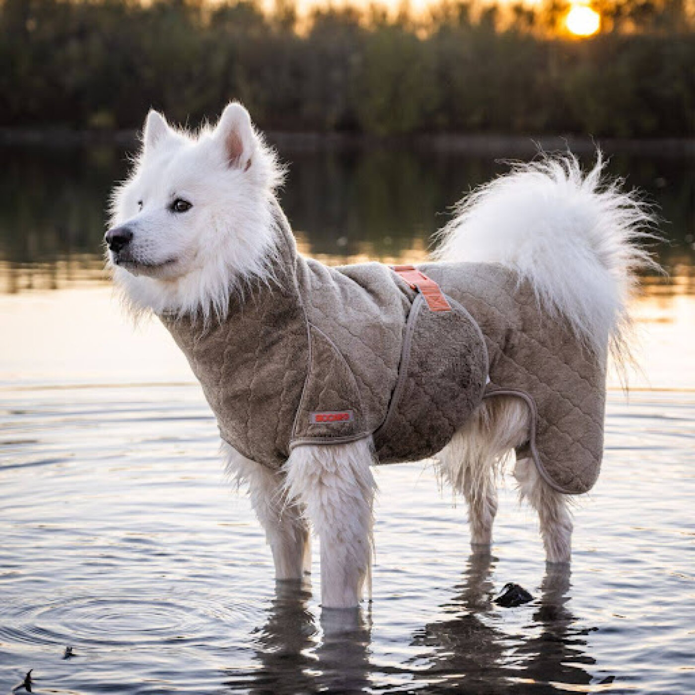 Q-Pet - Siccaro Supreme Pro Elmewood