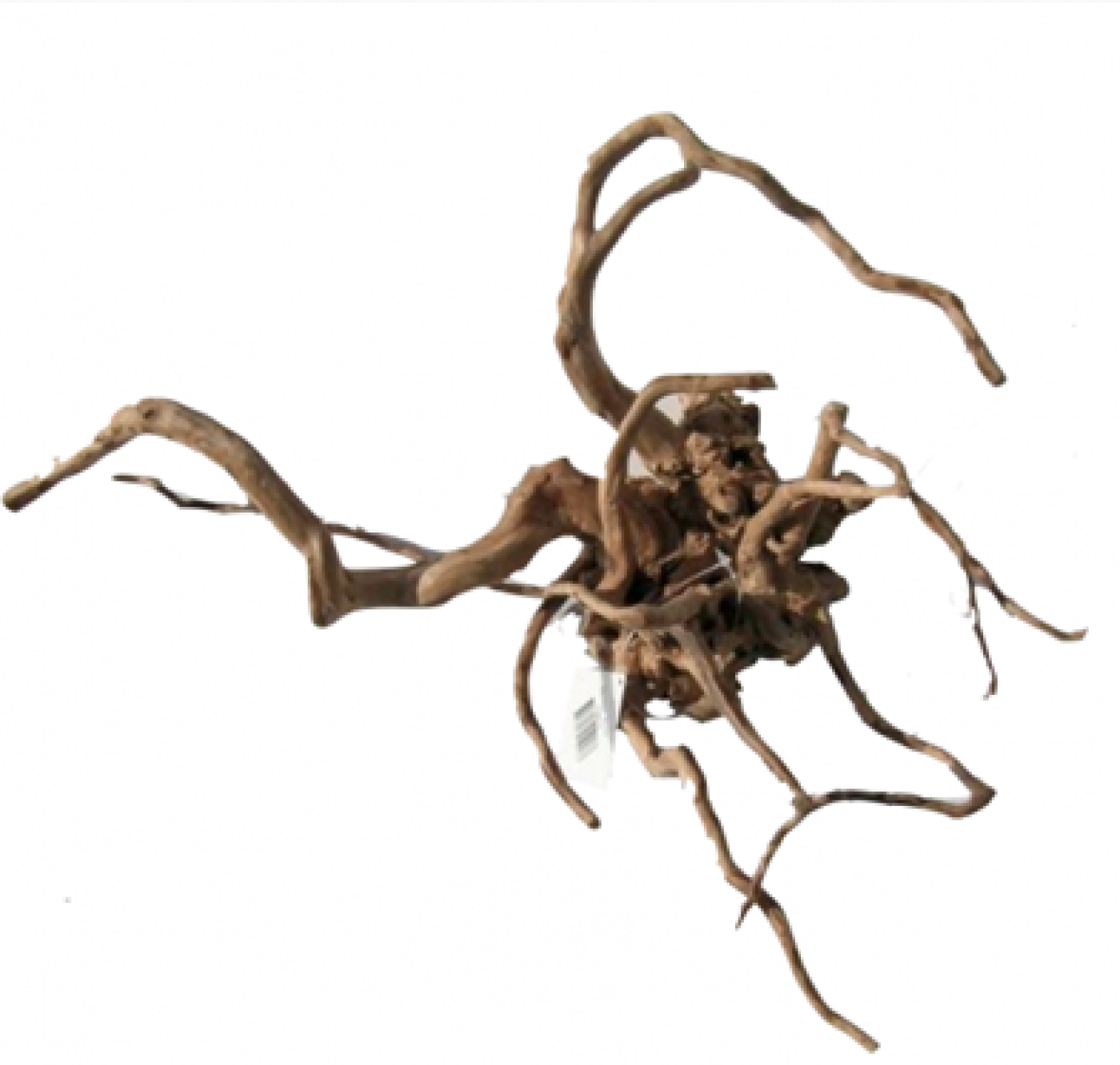 Pet-time - Akudim Desert Root