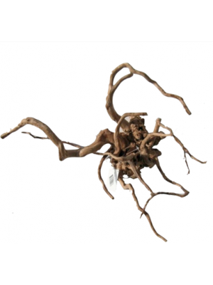 Pet-time - Akudim Desert Root