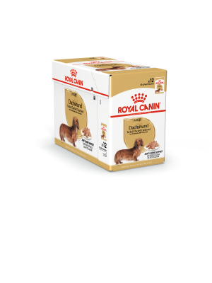 Royal Canin - Royal Canin Dachshund Adult Wet