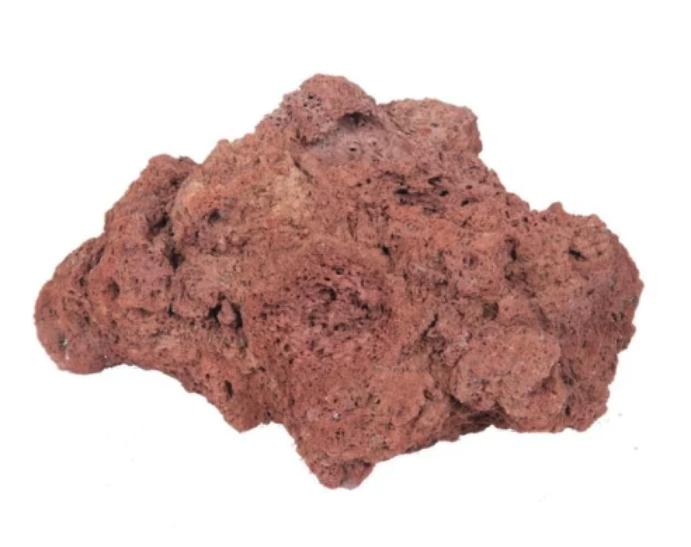 Tropica - Tropica Lava Rock 