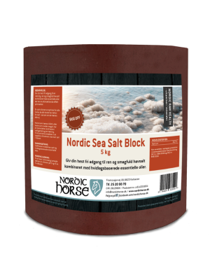 Nordic Horse - Nordic Sea Salt Block - Bug Off