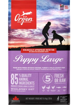 Orijen - ORIJEN DOG Puppy Large