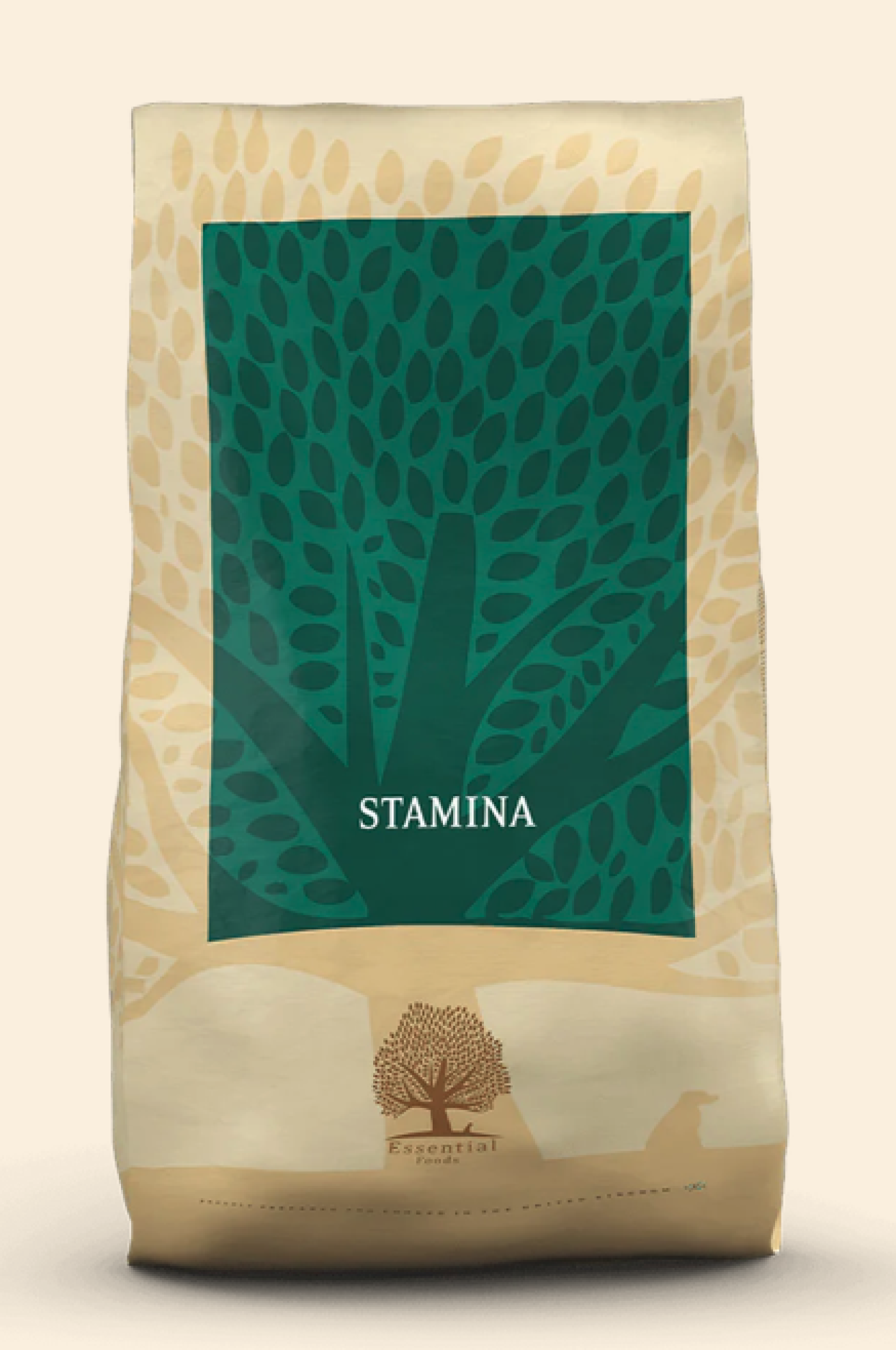 Essential - Essential Stamina