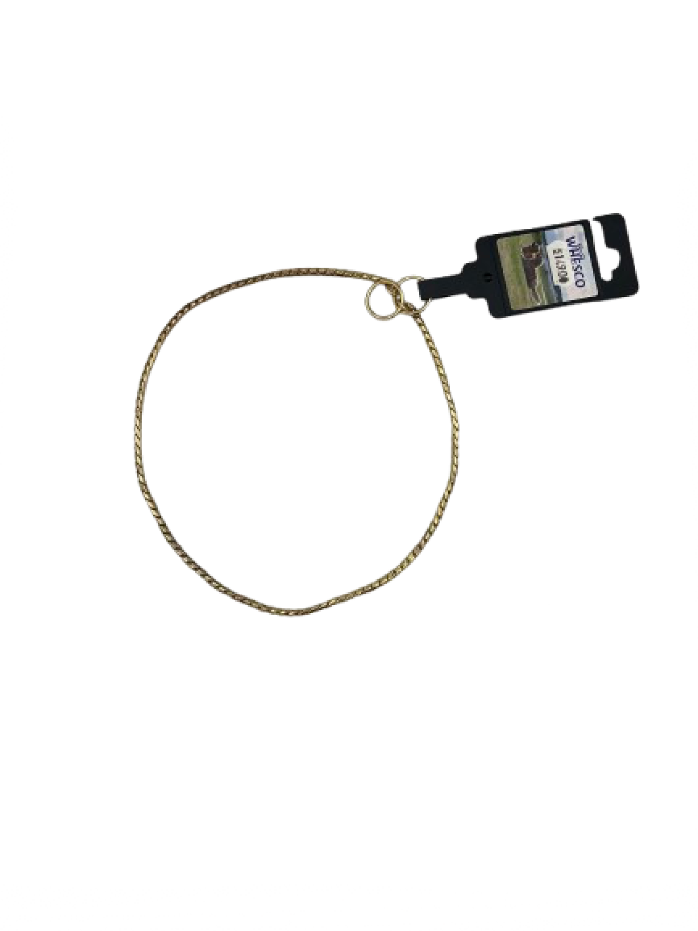 Whesco - Udstillingskæde Guld, 3,5mm x 60cm