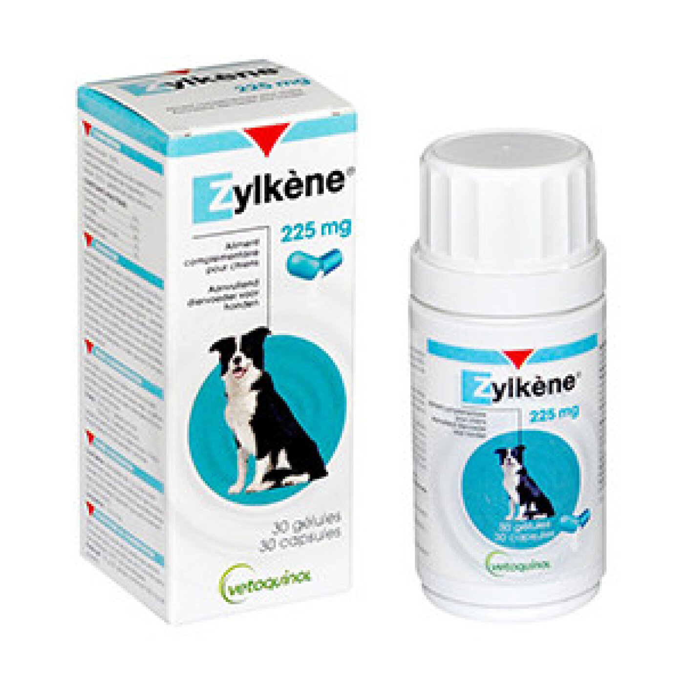 Kruuse - Zylkene Hund