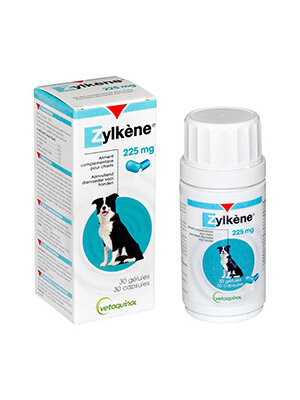 Kruuse - Zylkene Hund
