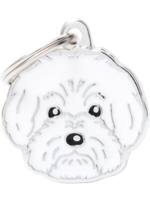 MyFamily - MyFamily Friends, Bichon Bolognese