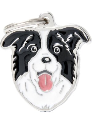 MyFamily - MyFamily Friends, Border Collie
