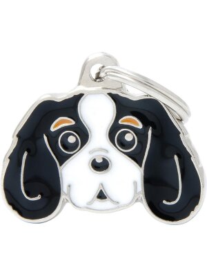 MyFamily - MyFamily Friends, Cavalier King Charles Spaniel