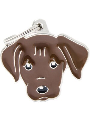 MyFamily - MyFamily Friends, Labrador retriever