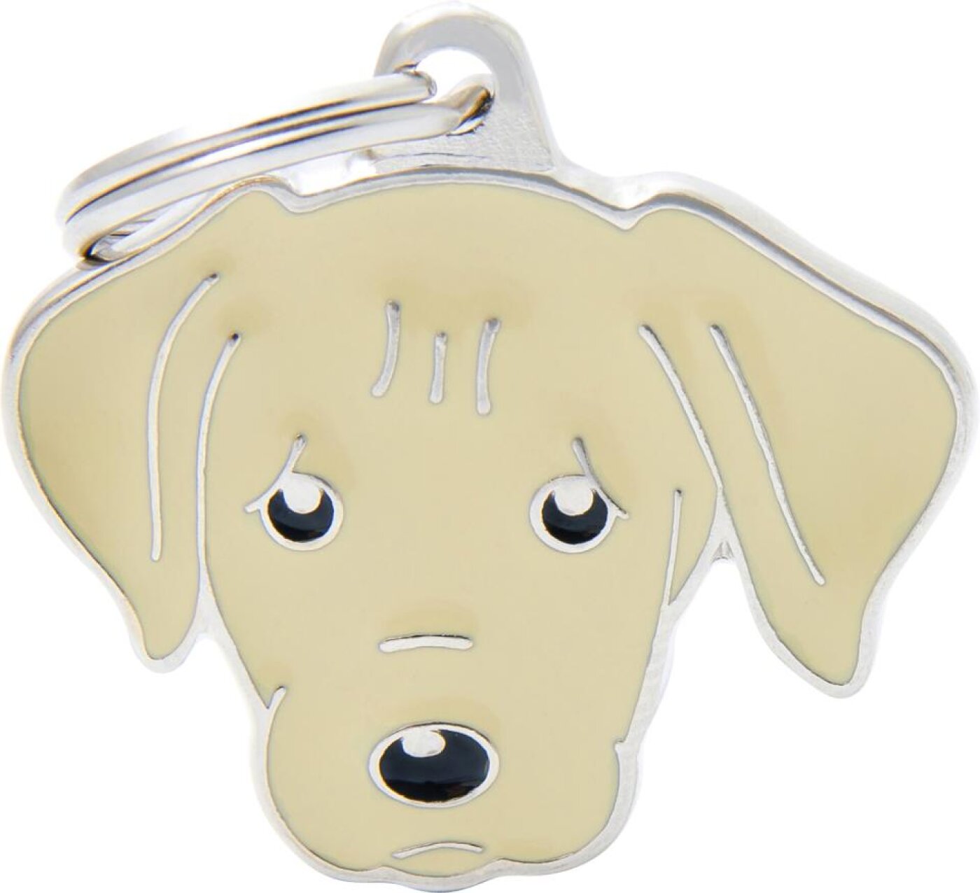 MyFamily - MyFamily Friends, Labrador retriever